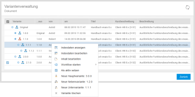 Variantenverwaltung - Screenshot